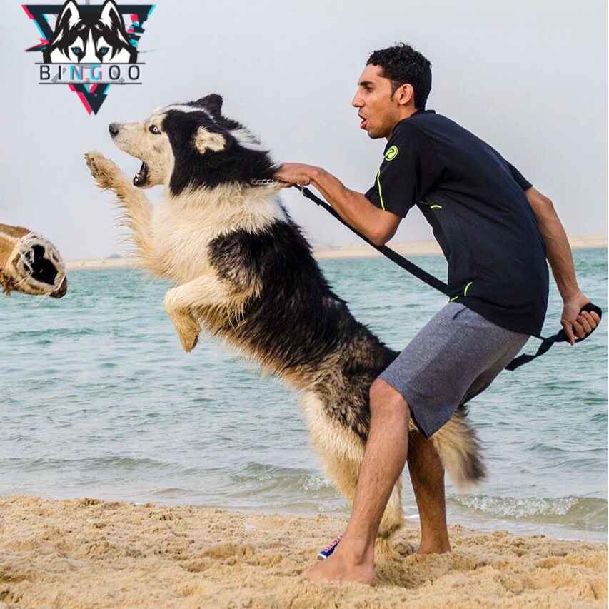 عبدالرحيم بينقو